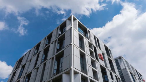 東方雨虹再度躋身2024全球建筑材料上市公司綜合實力排行榜，技術(shù)服務(wù)成核心競爭力