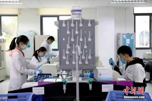 打卡介苗能否減少新冠肺炎感染風(fēng)險(xiǎn)？專(zhuān)家回應(yīng)與技術(shù)開(kāi)發(fā)進(jìn)展