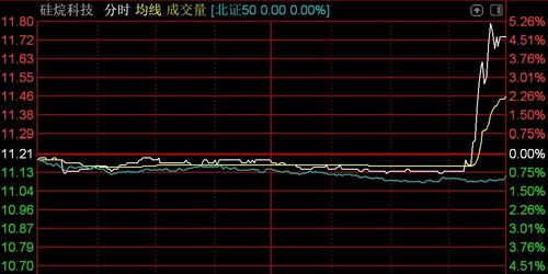 北交所震蕩調(diào)整 逾百股下挫，技術(shù)開(kāi)發(fā)板塊承壓——以n鴻智超14%領(lǐng)跌為例