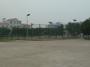 焦作高新技術(shù)創(chuàng)業(yè)服務(wù)中心 構(gòu)建全方位技術(shù)服務(wù)平臺(tái)，賦能企業(yè)創(chuàng)新成長(zhǎng)